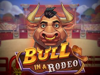 Bull in a Rodeo